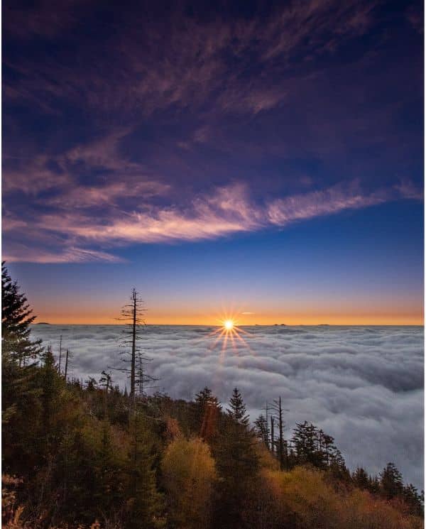 Fall foliage at sunrise at Clingmans Dome