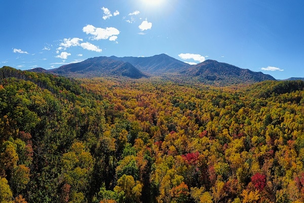 Smoky Mountain Fall Colors