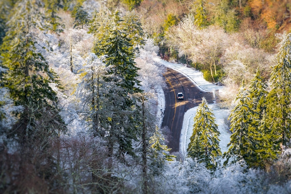 Things to Do During Winter in Pigeon and the Smoky