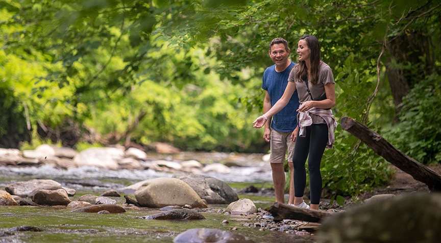 Stroll along the Little Pigeon River