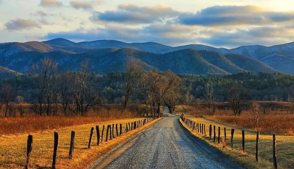 Go for a scenic drive in the Smokies
