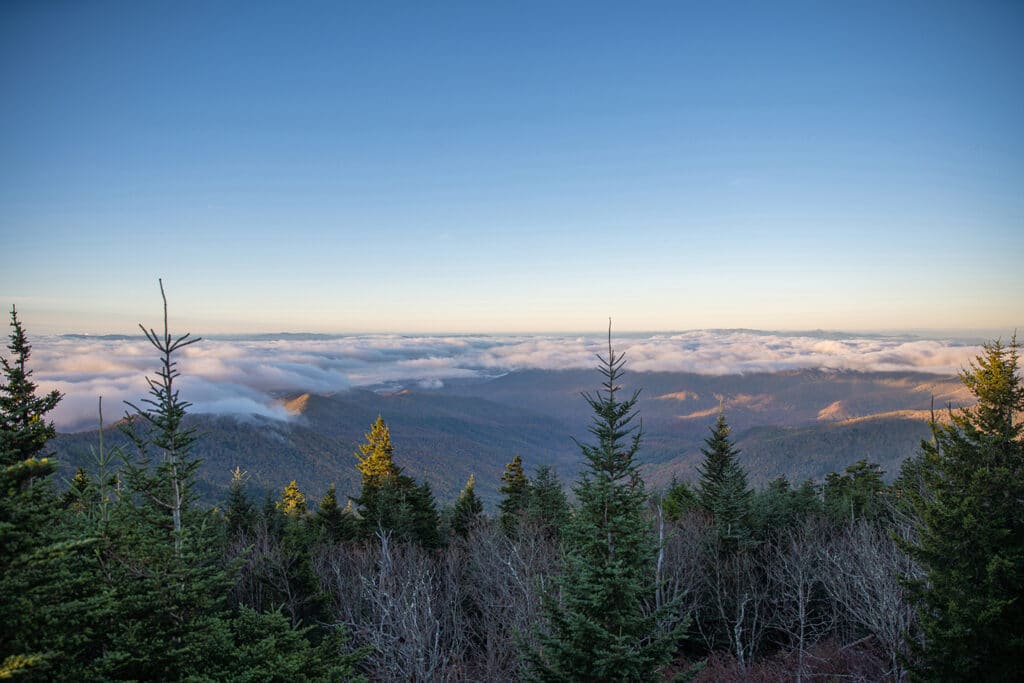 Celebrate the Great Smoky Mountains during Wilderness Wildlife Week