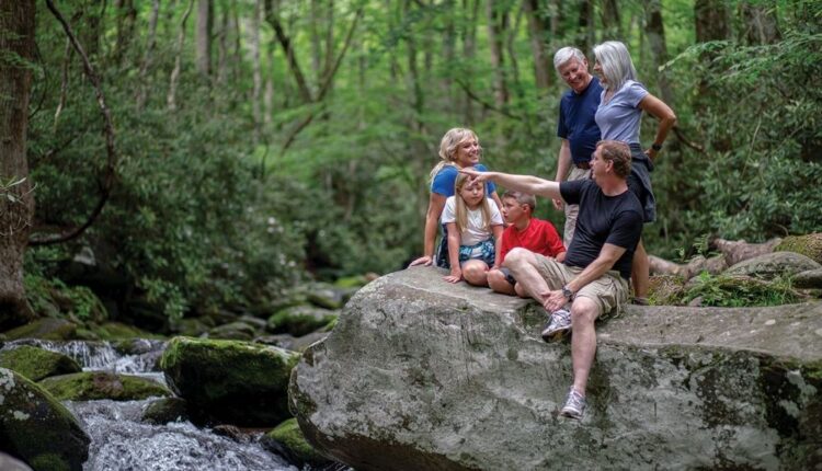 Go for a spring hike and see the wildflowers