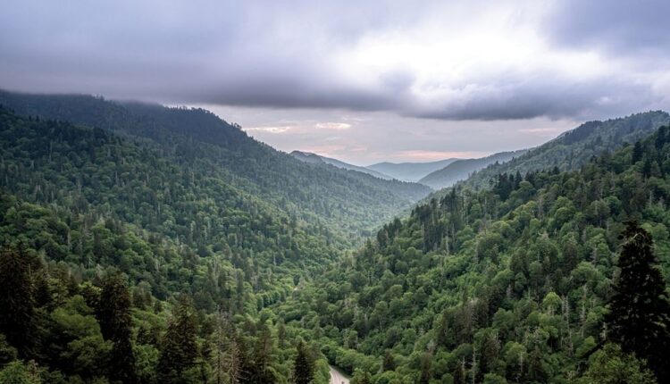 Take a scenic drive through the Smokies