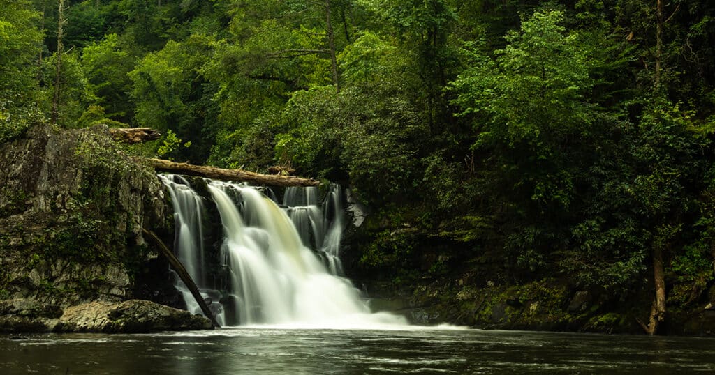 Abrams Falls Trail