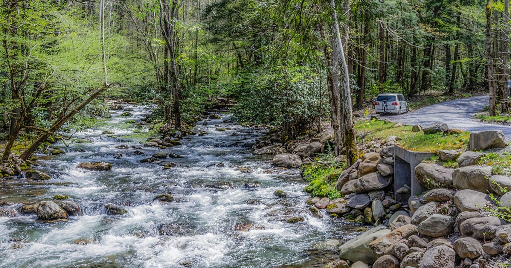 Along Drive to Porters Creek in Great Smoky Mountains National Park