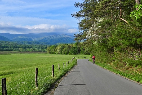 Visit Cades Cove in Great Smoky Mountains National Park - Free Things to Do in Pigeon Forge