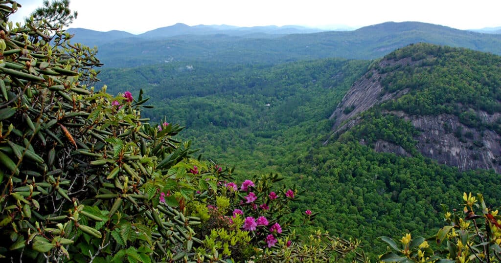 View from Chimney Tops Trail in Great Smoky Mountains National Park