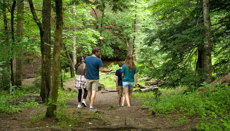 Go on a spring hike in the Smoky Mountains.