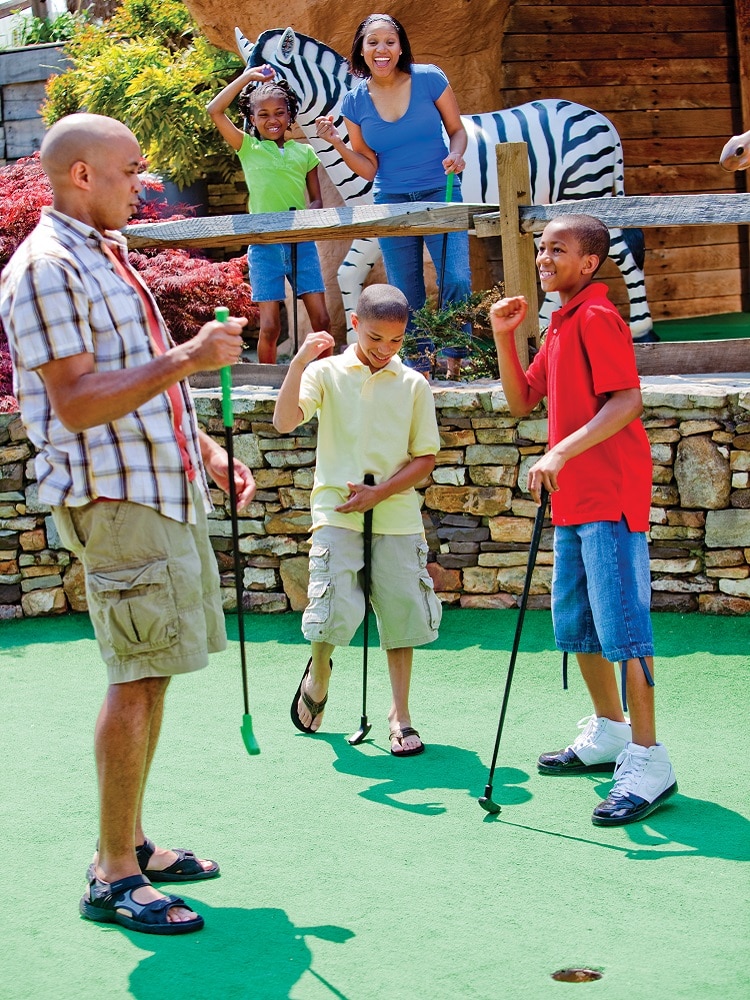 The Track - Best Places to Play Mini-Golf in Pigeon Forge