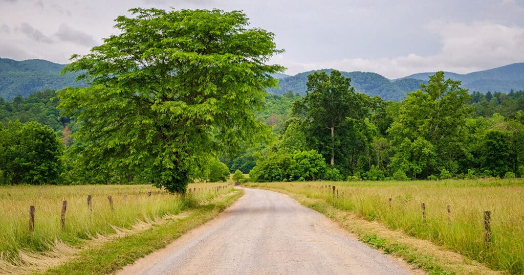 View of Rich Mountain Loop in Cades Cove