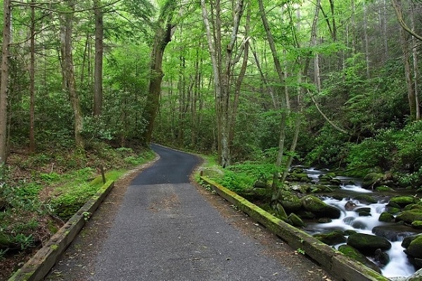 Scenic Drives in the Smoky Mountains - Free Things to Do in PIgeon Forge