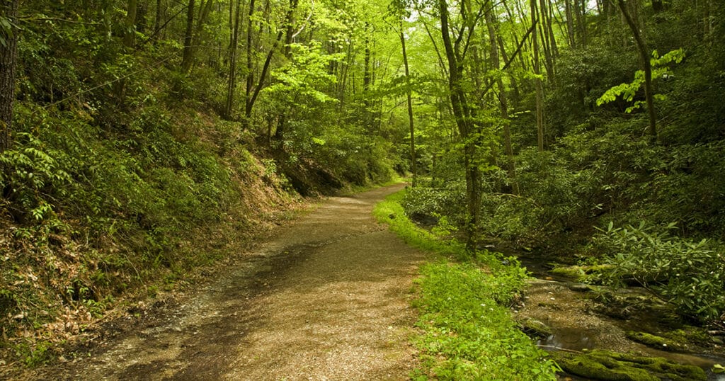Schoolhouse Gap Trail in Great Smoky Mountains National Park