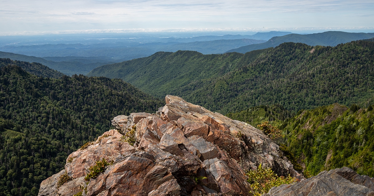 View from Charles Bunion Trail