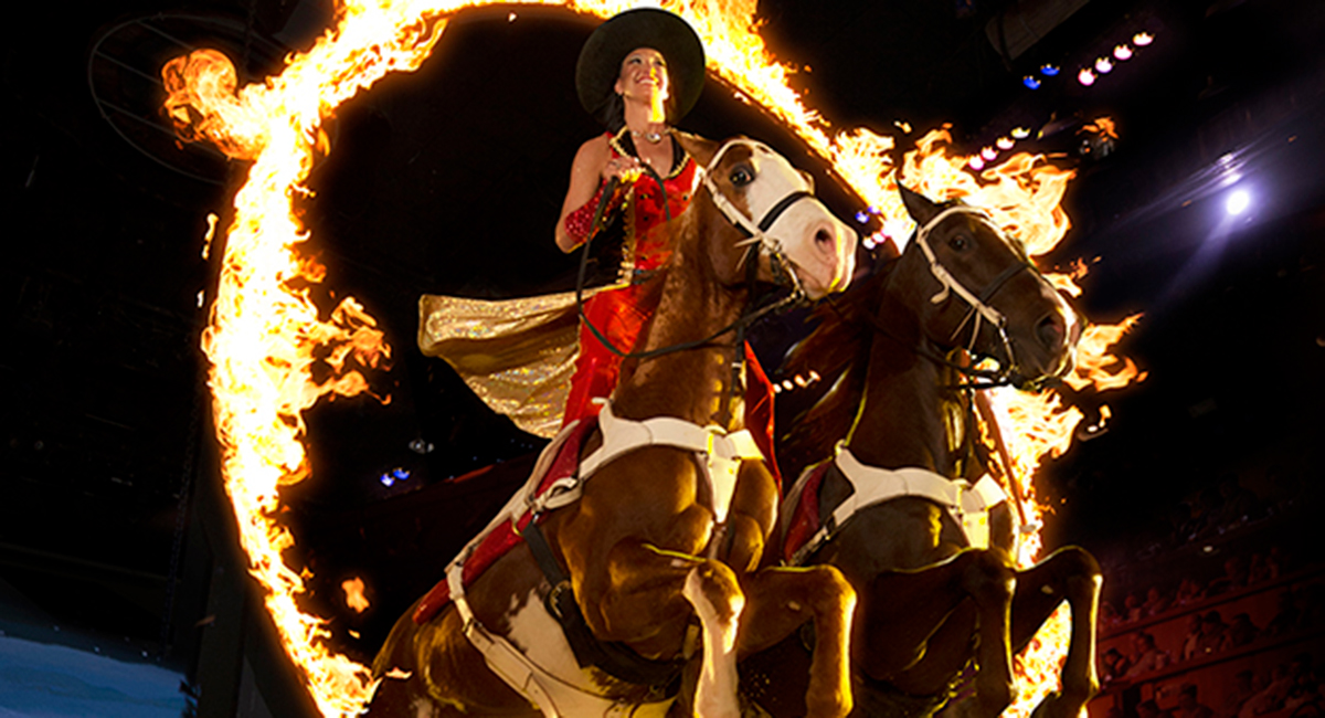enjoy a kid-friendly dinner show in Pigeon Forge - Dolly Parton’s Stampede