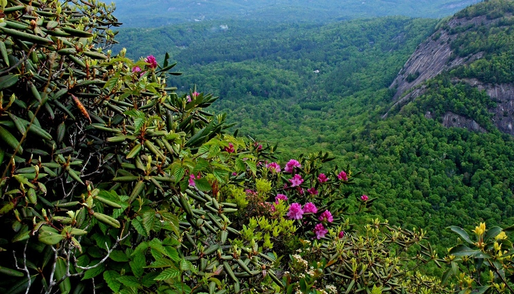 Chimney Tops Trail overlooking Rock Mountain