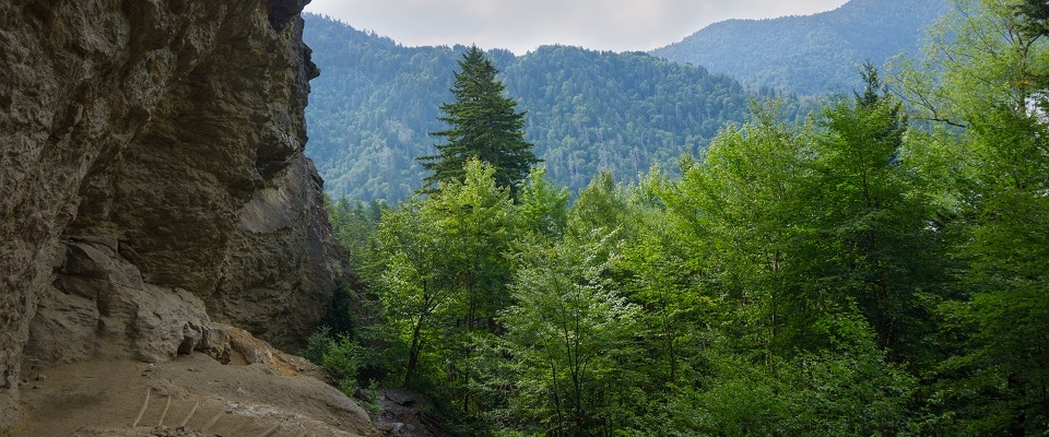 Alum Cave Trail - Great Smoky Mountains National Park