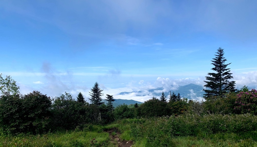Andrews Bald Trail - Great Smoky Mountains National Park