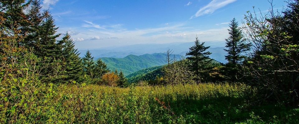 Appalachian Trail Hiking Trail in Great Smoky Mountains National Park