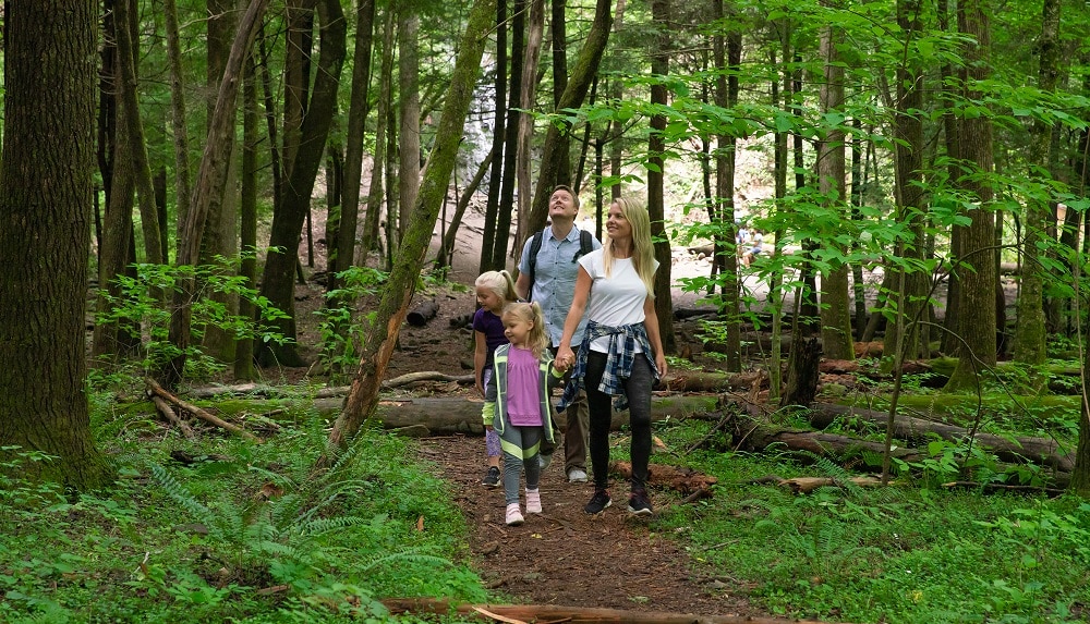 Smoky Mountains Hiking Trails