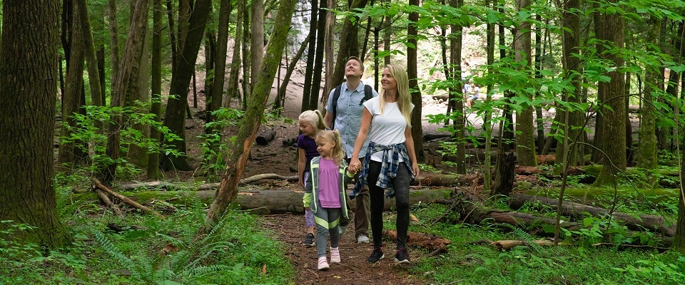 Smoky Mountains Hiking Trails
