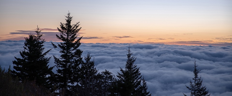 Hiking Trails in the Smoky Mountains