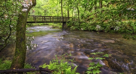 Bridge across Abrams Creek in GSMNP