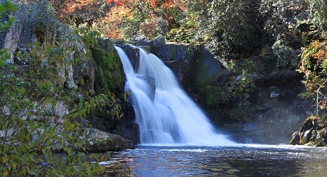 Abrams Falls in Fall