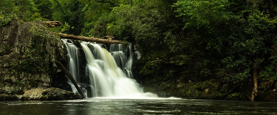 Abrams Falls Waterfall Hike