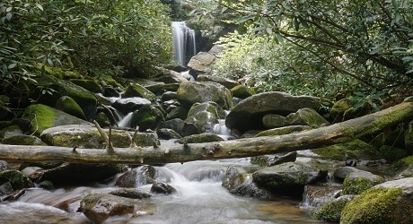 Grotto Falls in the Great Smoky Mountains