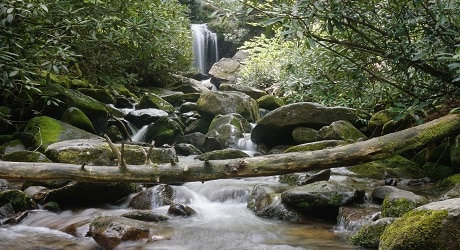 Grotto Falls Waterfall Hike in Great Smoky Mountains National Park