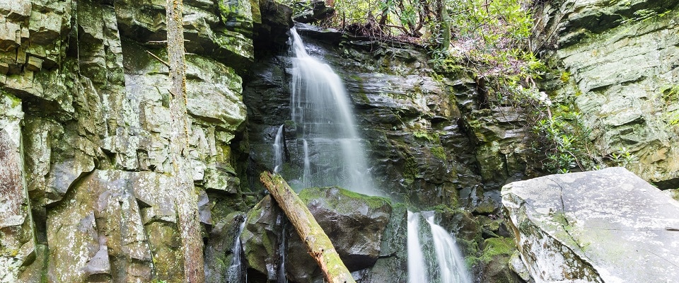 Hiking Baskins Creek Falls Trail