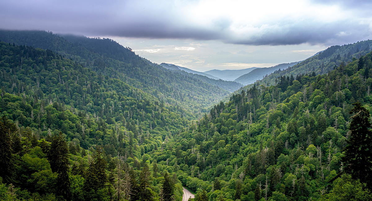 Day 3: Explore Great Smoky Mountains National Park