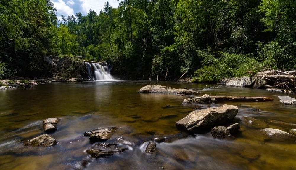 Take in one of the most picturesque waterfalls in the park at Abrams Falls 