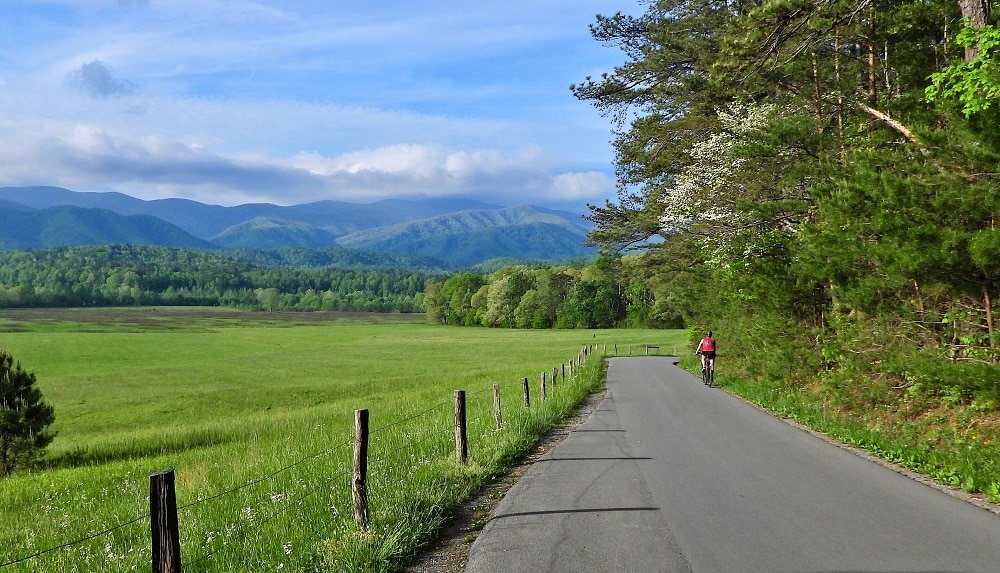 Biking Cades Cove Loop Road in GSMNP