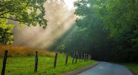 Cades Cove Loop Road in Great Smoky Mountains National Park