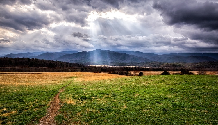 Go for a scenic drive in Cades Cove