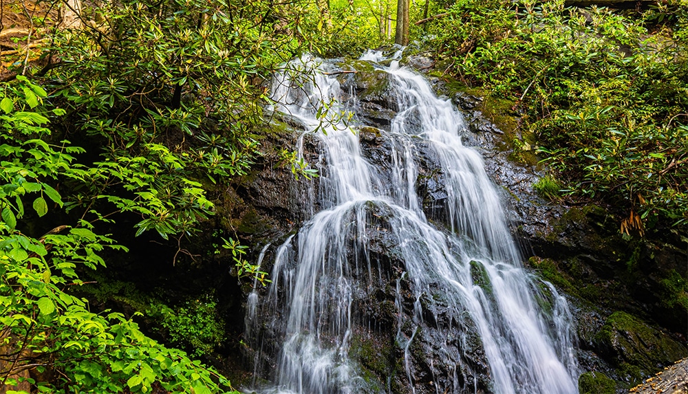 Cataract Falls is the perfect waterfall hike for kids