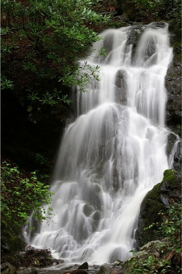 Cataract Falls is the perfect waterfall hike for kids