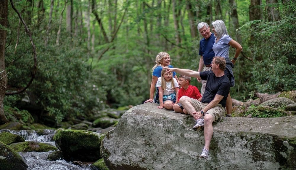 Best Waterfall Hikes in Great Smoky Mountains National Park