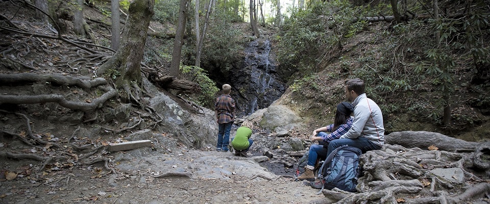 Family Waterfall Hike in the Great Smoky Mountains