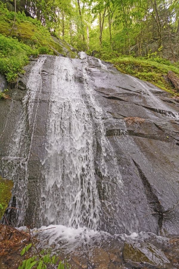 See spectacular wildflowers at Fern Branch Falls