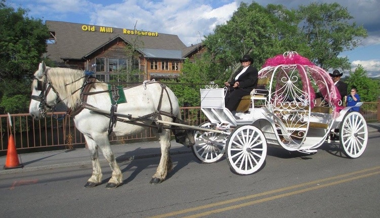Explore the area on a carriage ride