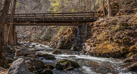 Hike the Middle Prong Trail to Indian Flats Falls in GSMNP