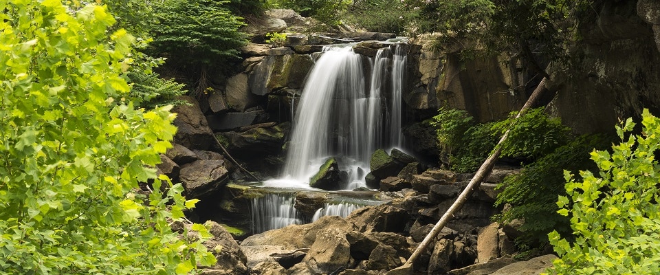 Waterfall Hikes in the Great Smoky Mountains