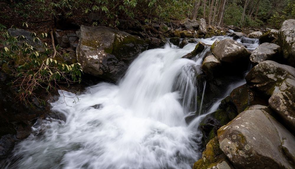 Go on an easy hike to see cascading waterfalls at Lynn Camp Prong Cascades