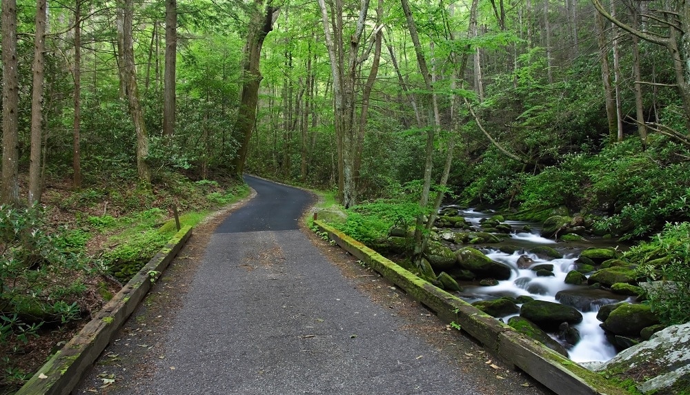 Roaring Fork Motor Nature Trail in Great Smoky Mountains National Park