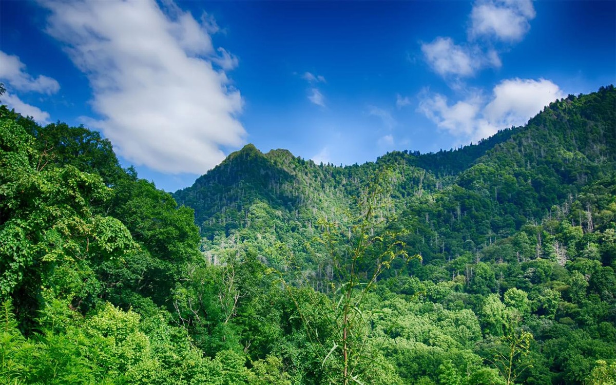 Rocky Top Tours Smoky Mountain Special