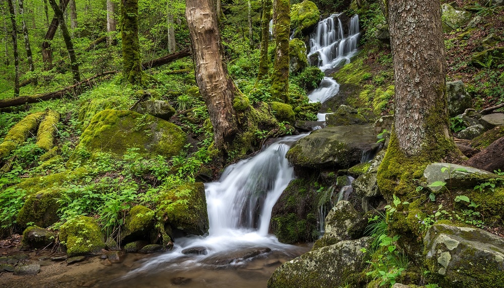 Upper Tremont Road - Scenic Drives in the Great Smoky Mountains