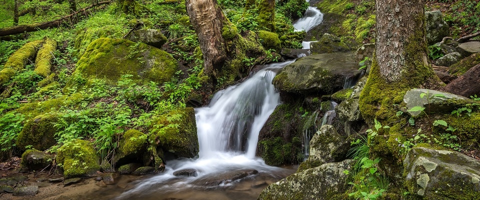 Waterfall on Upper Tremont Road in Great Smoky Mountains National Park